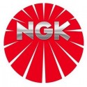 NGK V-LINE NR30 BKR6EQUP 6343