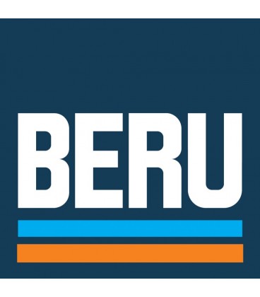 BERU O4 0300201002