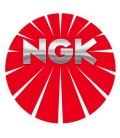 NGK A7FS 2976 